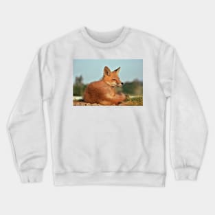 Alert Red Fox Kit Crewneck Sweatshirt